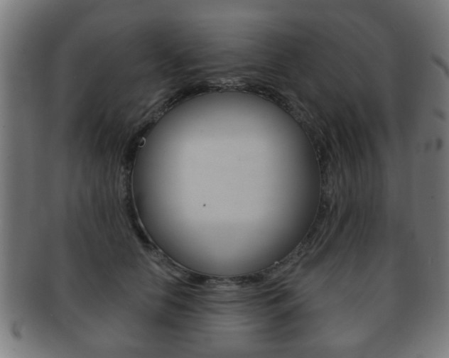 X0000091910658200709051212