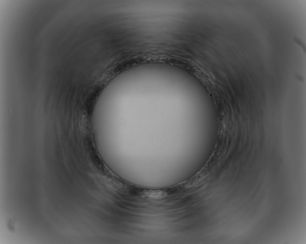 X0000091910659200709051212