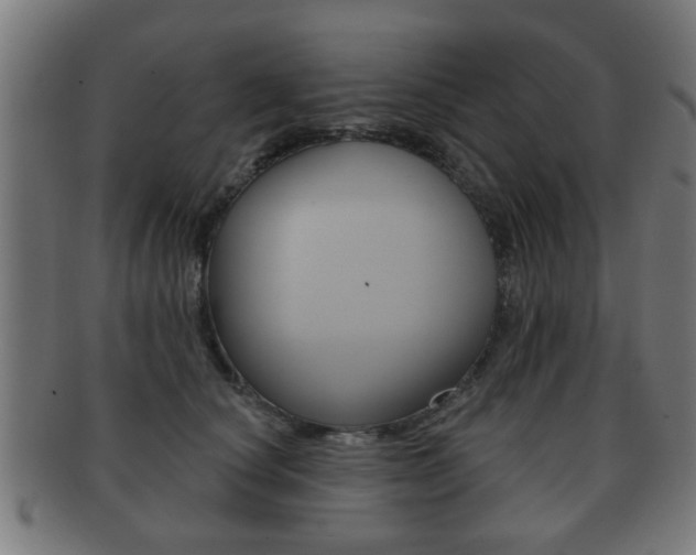 X0000091910660200709051212