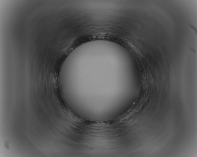 X0000091910661200709051212