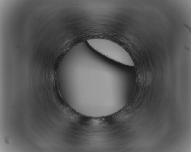 X0000091910662200709051212