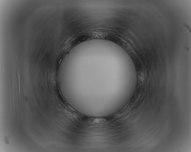X0000091910663200709051212