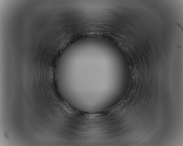 X0000091910664200709051212