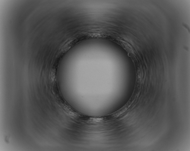 X0000091910665200709051213