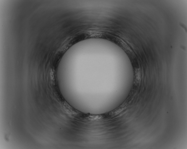 X0000091910667200709051213