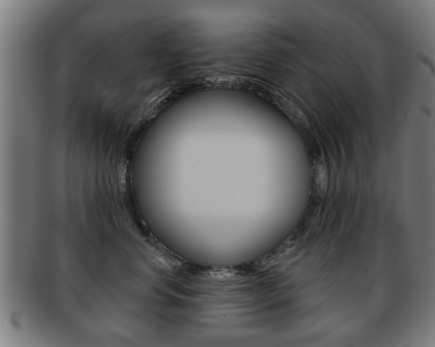 X0000091910668200709051213