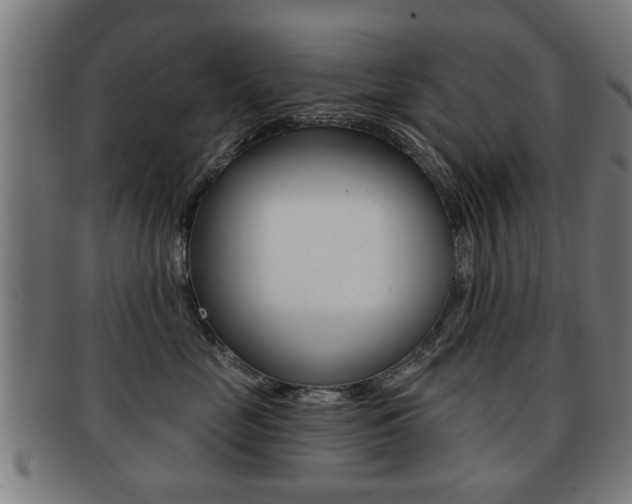 X0000091910669200709051213