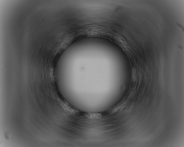 X0000091910670200709051213