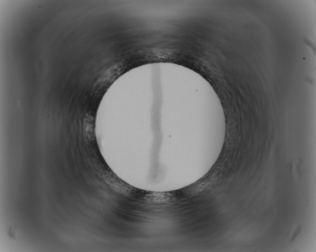 X0000091910672200709051213