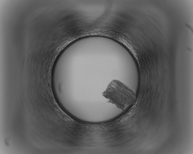 X0000091910673200709051212