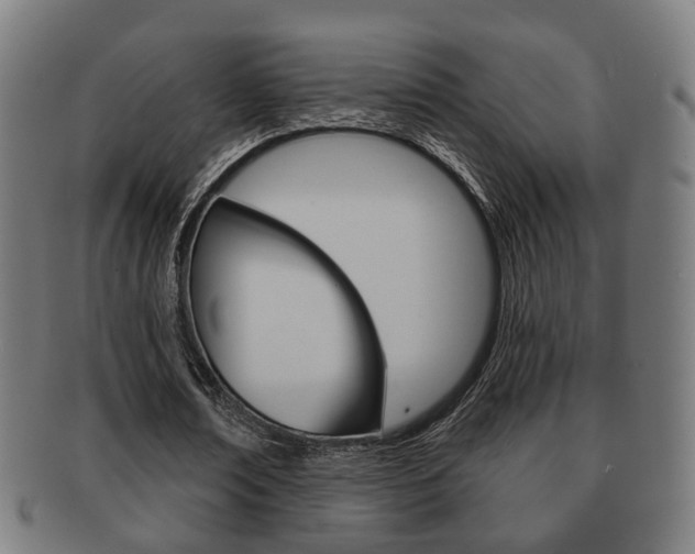 X0000091910674200709051212