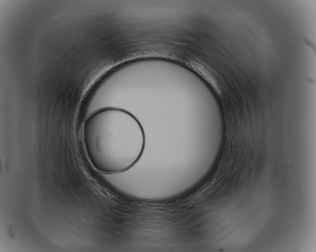 X0000091910676200709051212