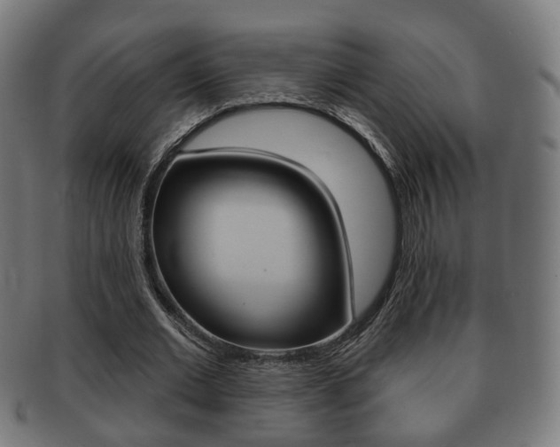 X0000091910677200709051212