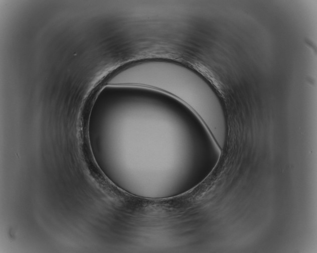 X0000091910680200709051212
