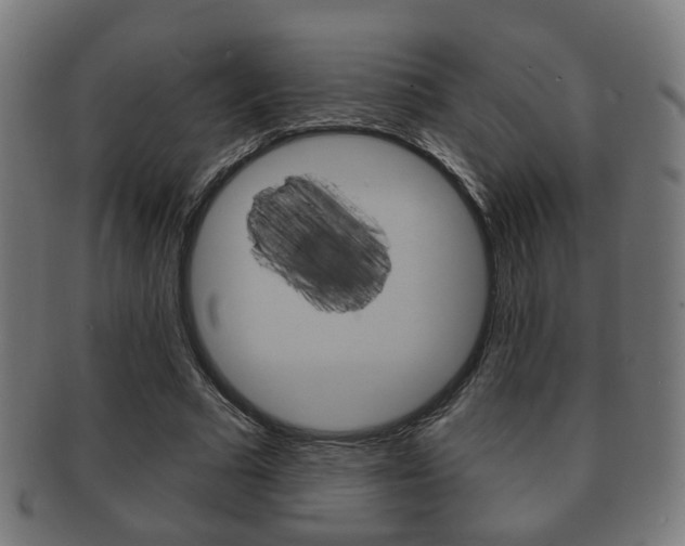 X0000091910681200709051212
