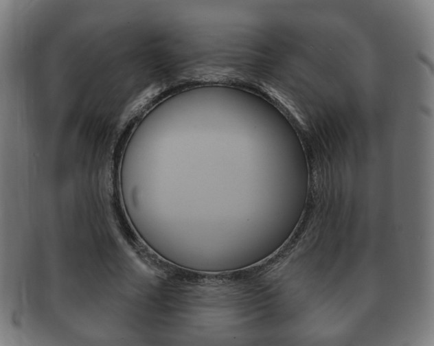X0000091910682200709051212