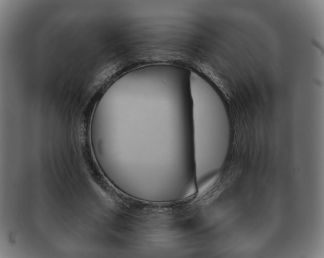 X0000091910683200709051212