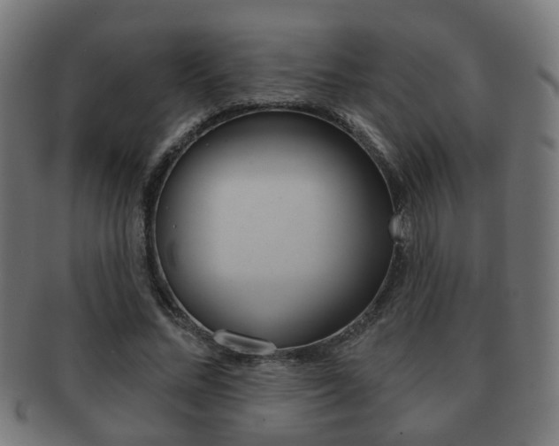 X0000091910684200709051212
