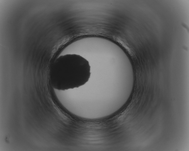 X0000091910685200709051212