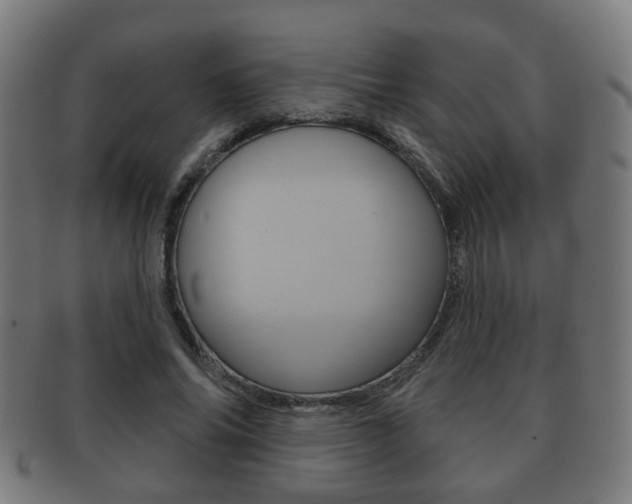X0000091910686200709051212