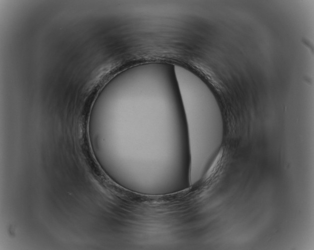 X0000091910687200709051212