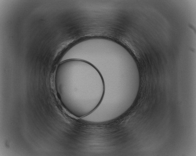 X0000091910688200709051212