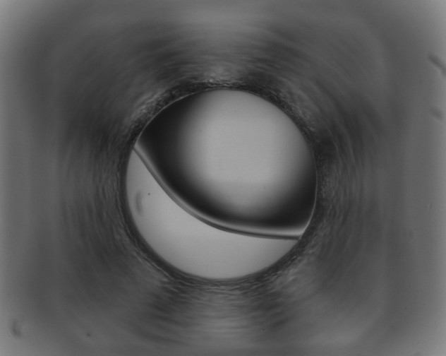 X0000091910689200709051212