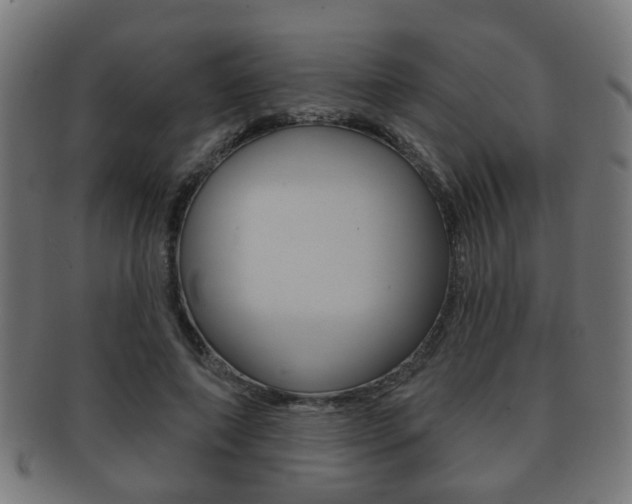 X0000091910690200709051212