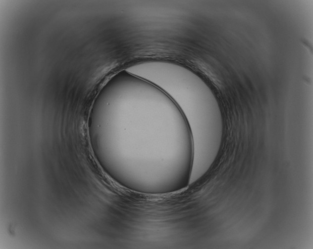 X0000091910692200709051212