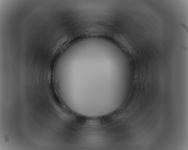 X0000091910694200709051212