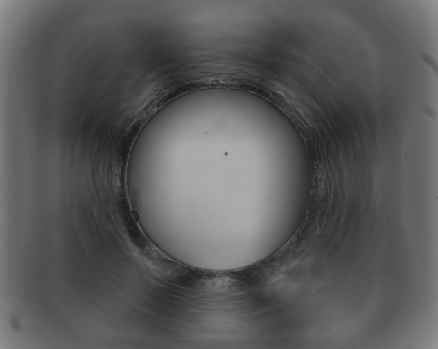 X0000091910695200709051212