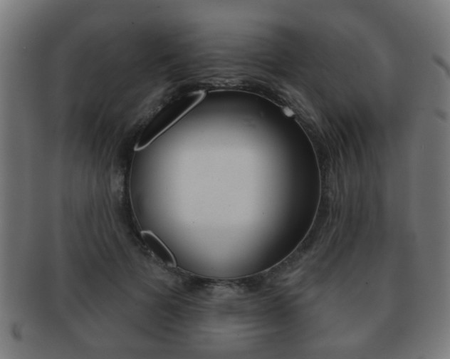 X0000091910697200709051212