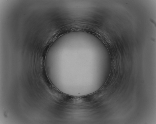 X0000091910698200709051212