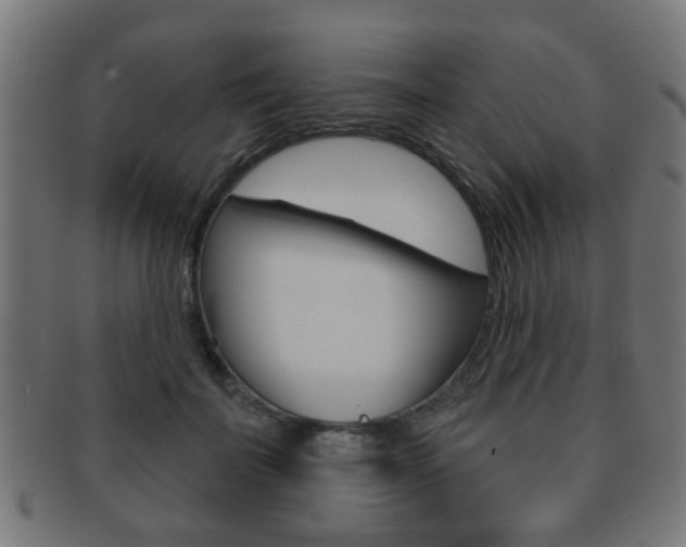 X0000091910699200709051212