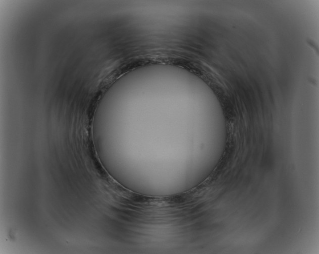 X0000091910702200709051212