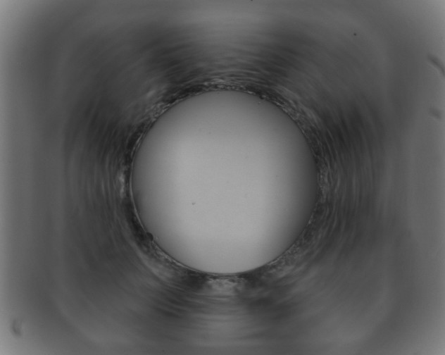 X0000091910703200709051211