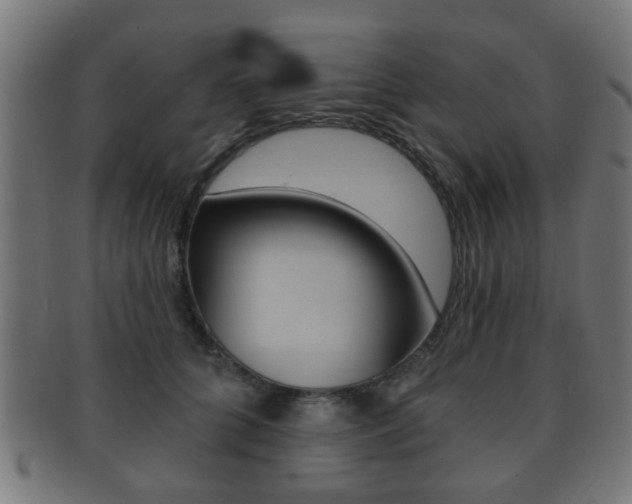 X0000091910704200709051211