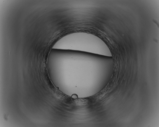 X0000091910707200709051211