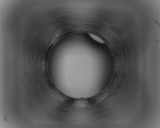 X0000091910708200709051211
