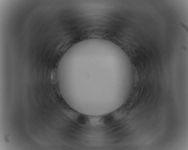 X0000091910709200709051211