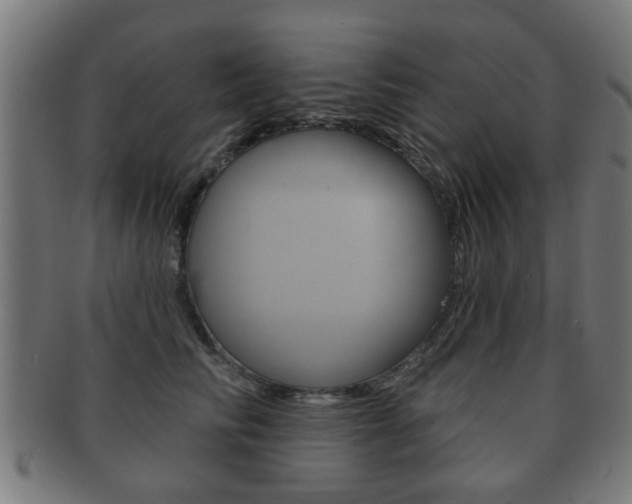 X0000091910710200709051211