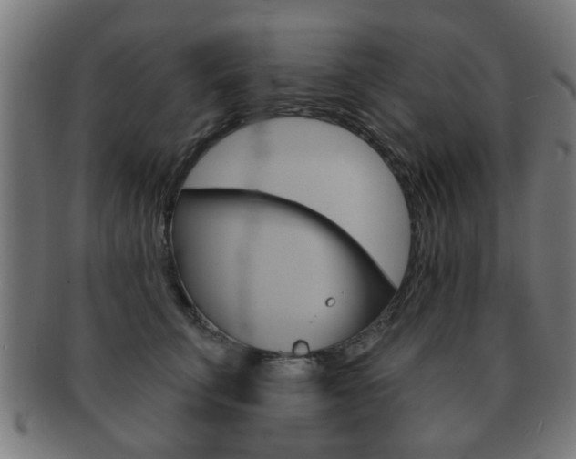 X0000091910711200709051211
