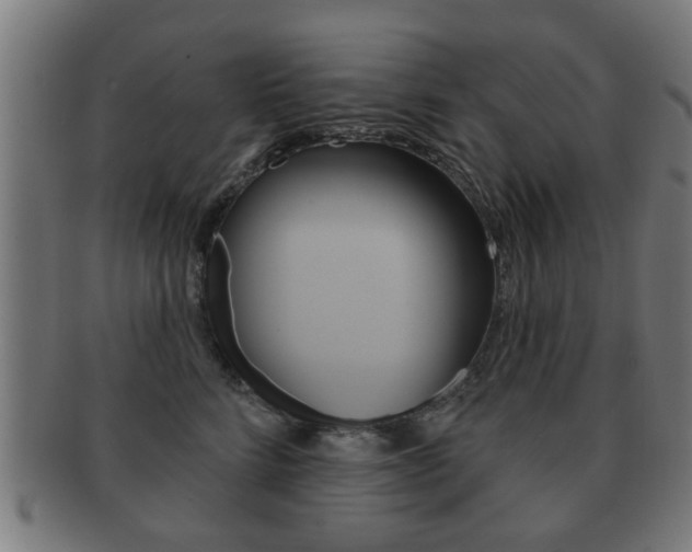 X0000091910712200709051211