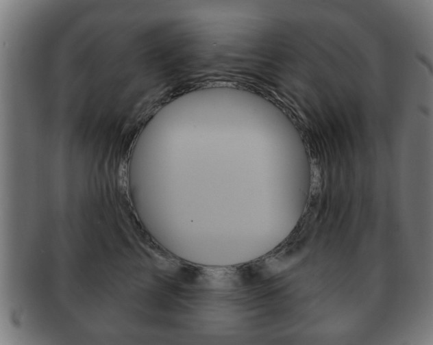 X0000091910713200709051211