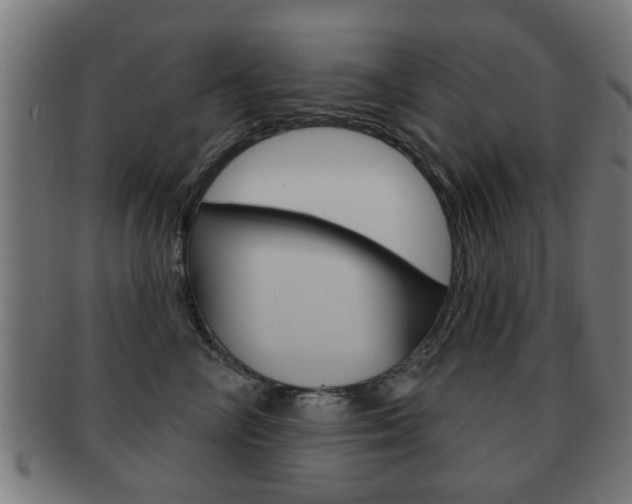 X0000091910714200709051211