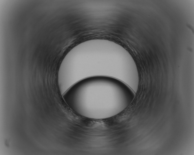 X0000091910715200709051211