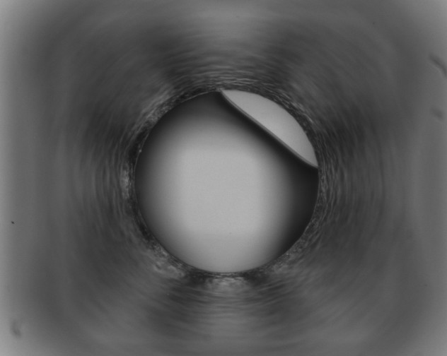 X0000091910716200709051211