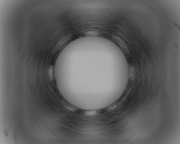 X0000091910717200709051211