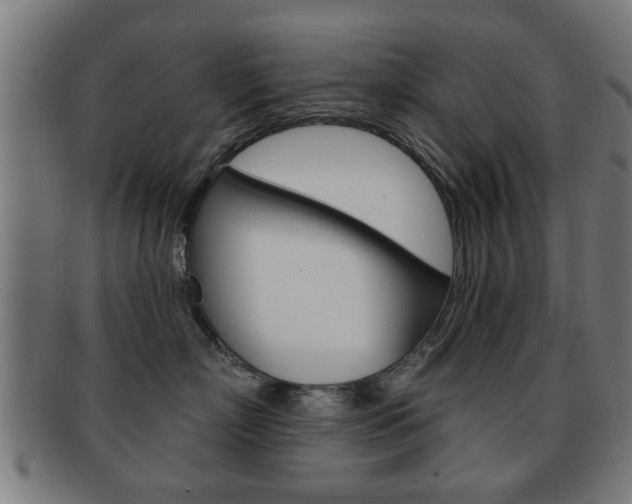 X0000091910718200709051211