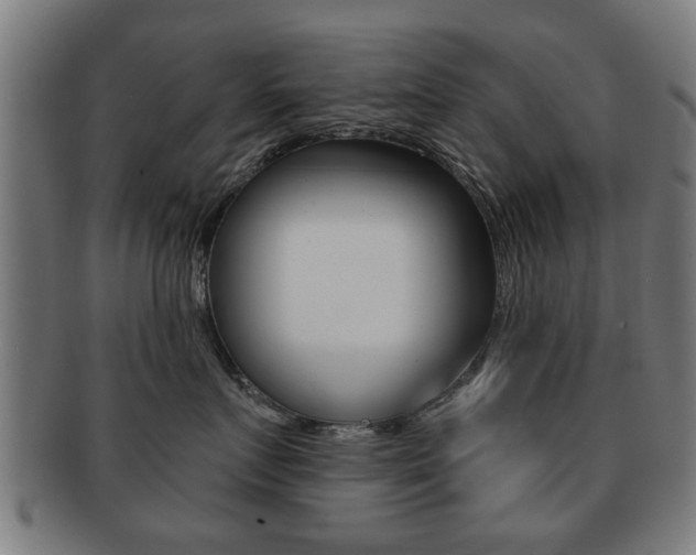 X0000091910719200709051211